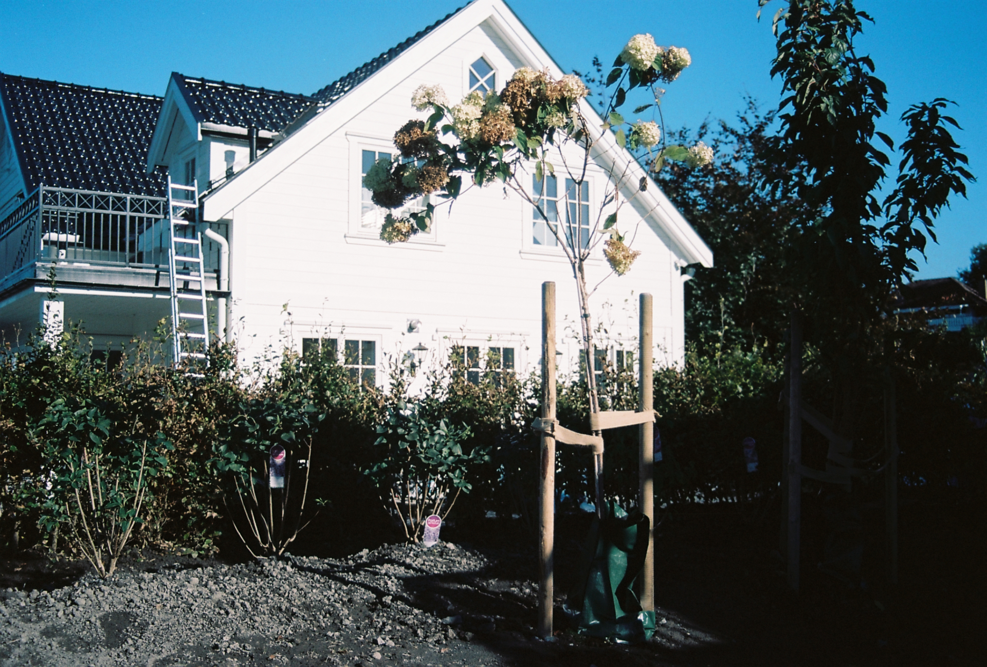 Enebolig Nesøya — bilde 7